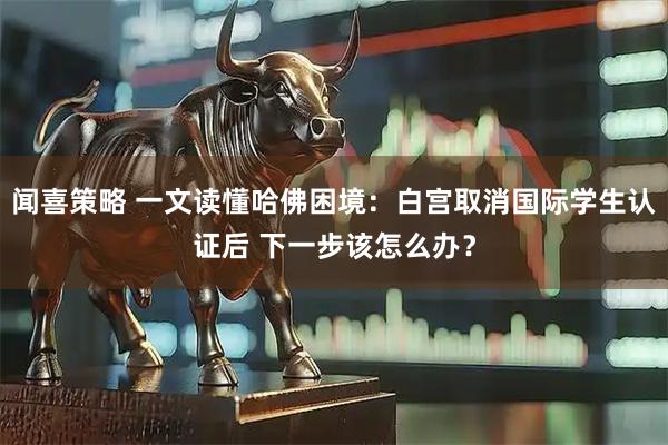 闻喜策略 一文读懂哈佛困境：白宫取消国际学生认证后 下一步该怎么办？