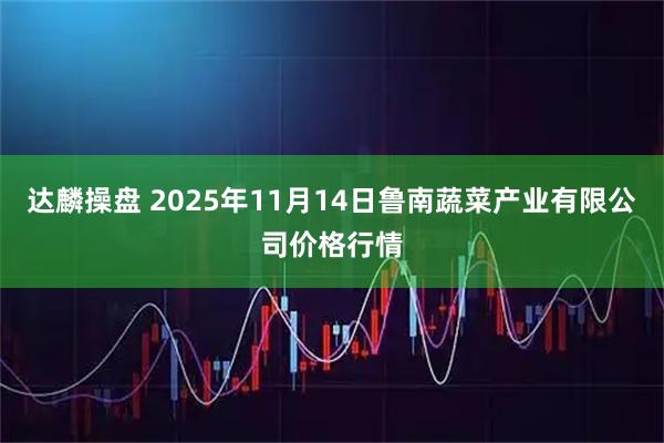 达麟操盘 2025年11月14日鲁南蔬菜产业有限公司价格行情