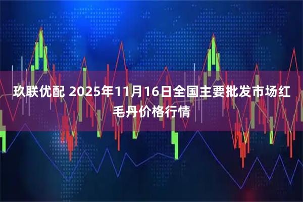 玖联优配 2025年11月16日全国主要批发市场红毛丹价格行情