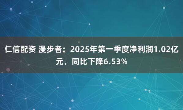 仁信配资 漫步者：2025年第一季度净利润1.02亿元，同比下降6.53%