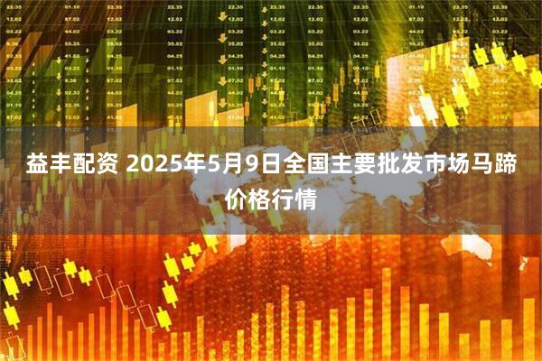 益丰配资 2025年5月9日全国主要批发市场马蹄价格行情