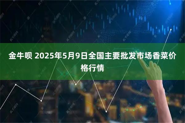 金牛呗 2025年5月9日全国主要批发市场香菜价格行情