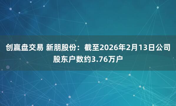 创赢盘交易 新朋股份：截至2026年2月13日公司股东户数约3.76万户